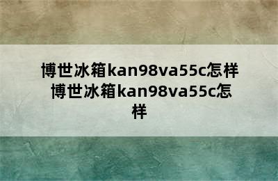 博世冰箱kan98va55c怎样 博世冰箱kan98va55c怎样